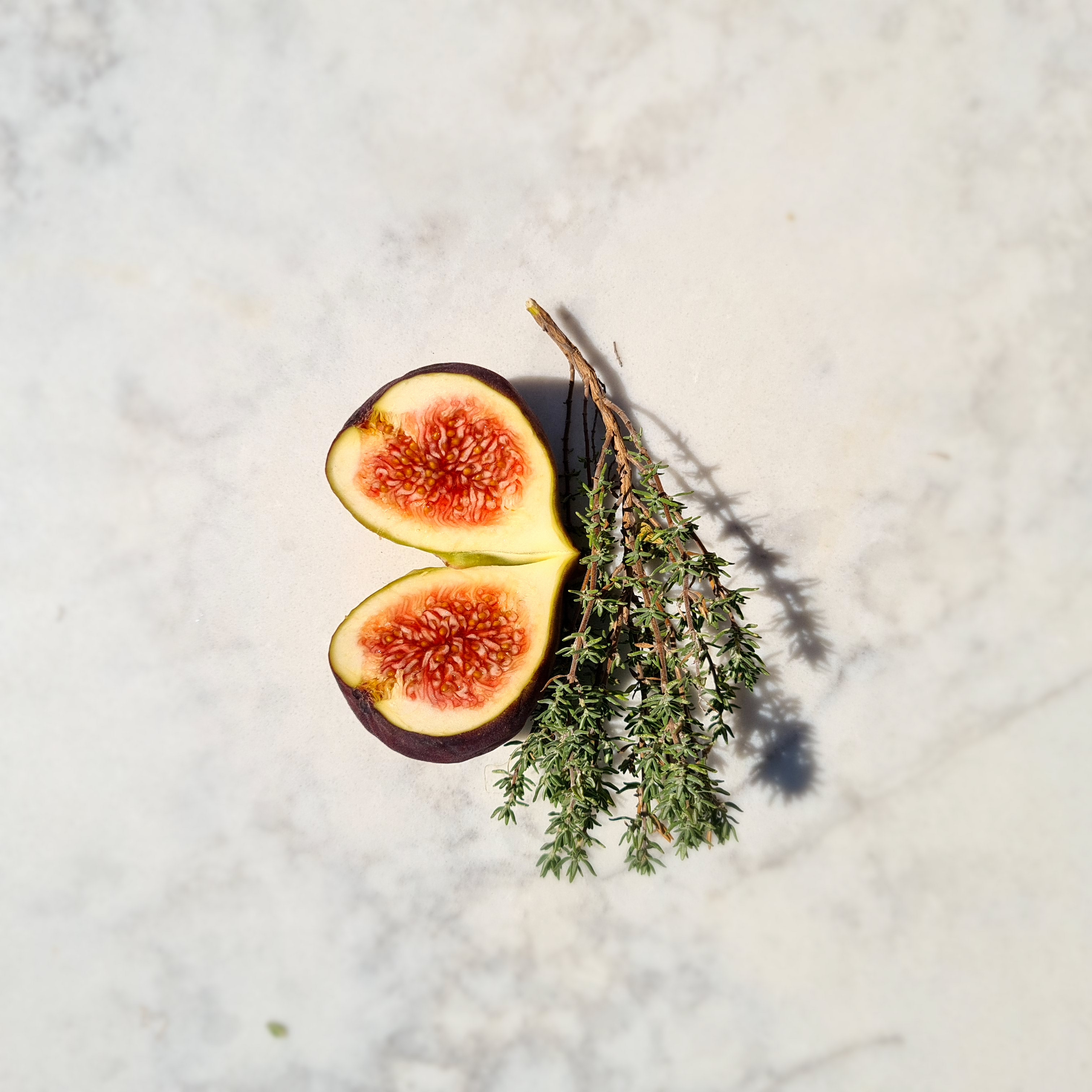 A single ripe fruit on a natural surface